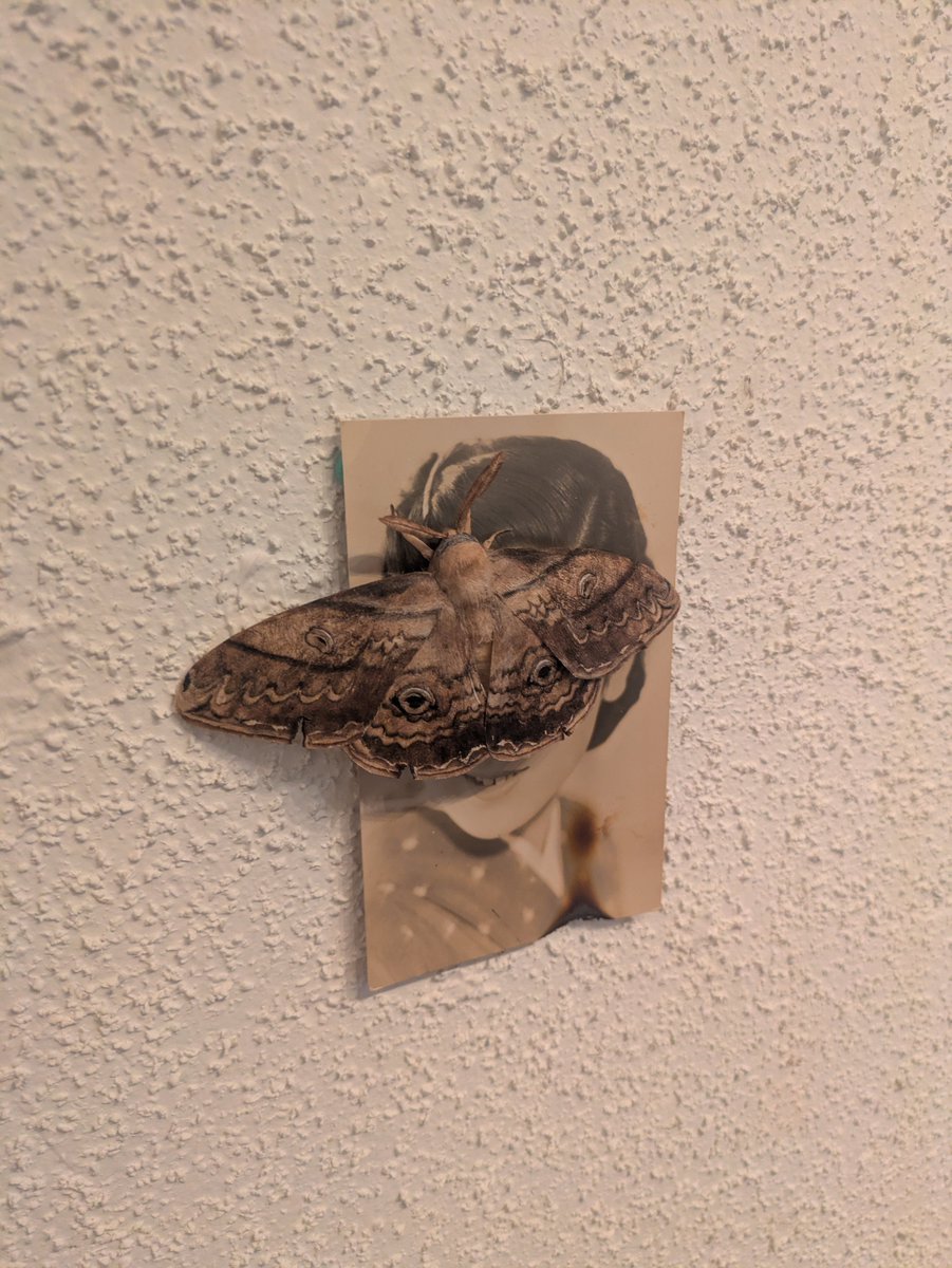 noda_hiroki_NY's tweet photo. 同級生の芸術家ウチダリナ氏が作品を出展しているということで、神保町のギャラリー小暮にて開催されている「lunatic異形-畸形なるものたち-」に行ってきました。ウチダ氏の作品を生で見るのは初めてだったと記憶しています。大変奥深いです。 https://t.co/2Rw6jpRrfY