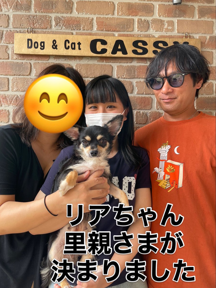 cassy96621's tweet photo. リアちゃん‼️
里親さまが
決まりました＼(^^)／ https://t.co/WCJOUCQDHh