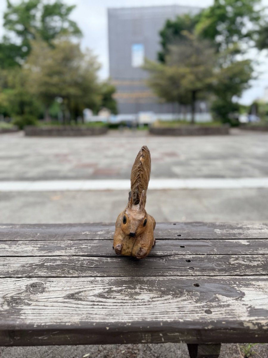 NoahAllenxpq's tweet photo. 娘（小6）のクラスで、私服がなくなる事案が発生。体育で体操着に着替えた後に私服を体育袋に収納し、廊下のフックにかけておいたらしい。帰りの会の時にクラス全員で探すも見つからず。文房具とか小さなものがなくなったのではなく、私服の入った体操着袋。 隠せる場所なんてある？😵 https://t.co/KcRQRSridA