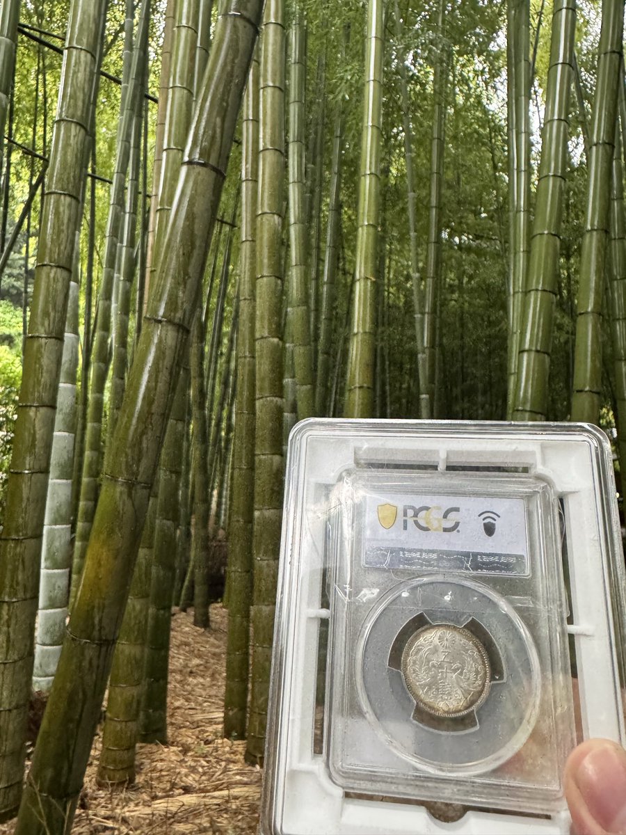 J_Coin_C's tweet photo. IN 報国寺📍 https://t.co/llFpotxwHz