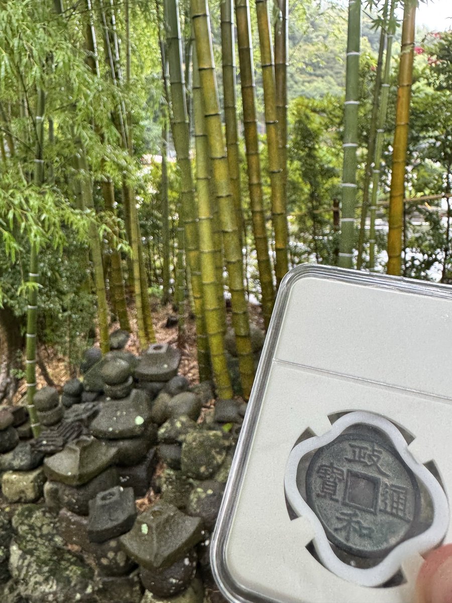 J_Coin_C's tweet photo. IN 報国寺📍 https://t.co/llFpotxwHz