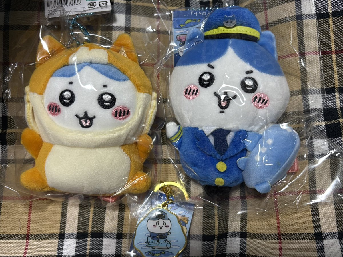emeraldmaroke's tweet photo. 我が家の家宝が増えました🙏✨
舌出てるはっちー可愛いいいいい https://t.co/XF7Hu0Vw5W