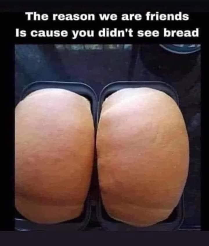 purplesteph1978's tweet photo. Daily giggles (2 of 2) xxx 😁😁😁 #Funny #Stop #Drinking #Bread #Perspective #Electrical #Cords #Eating #GroundHim #Dogs #Pilot #Gunner https://t.co/UZGDhXCOs7
