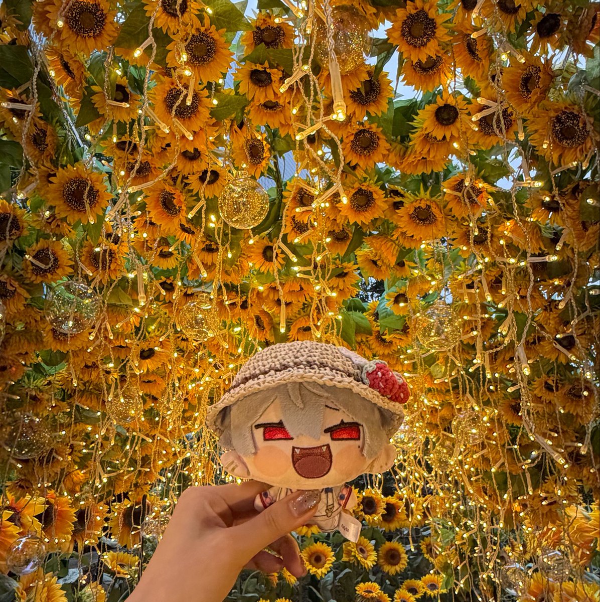 ten_sai_f's tweet photo. 👒🌻 https://t.co/NhzWrijJwI