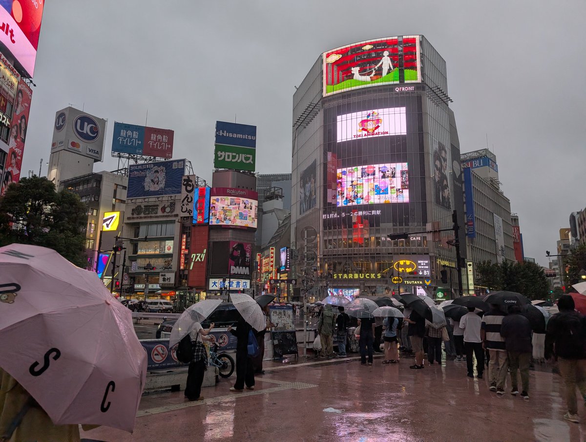 _tbml's tweet photo. 雨 https://t.co/94MK0EgQhC