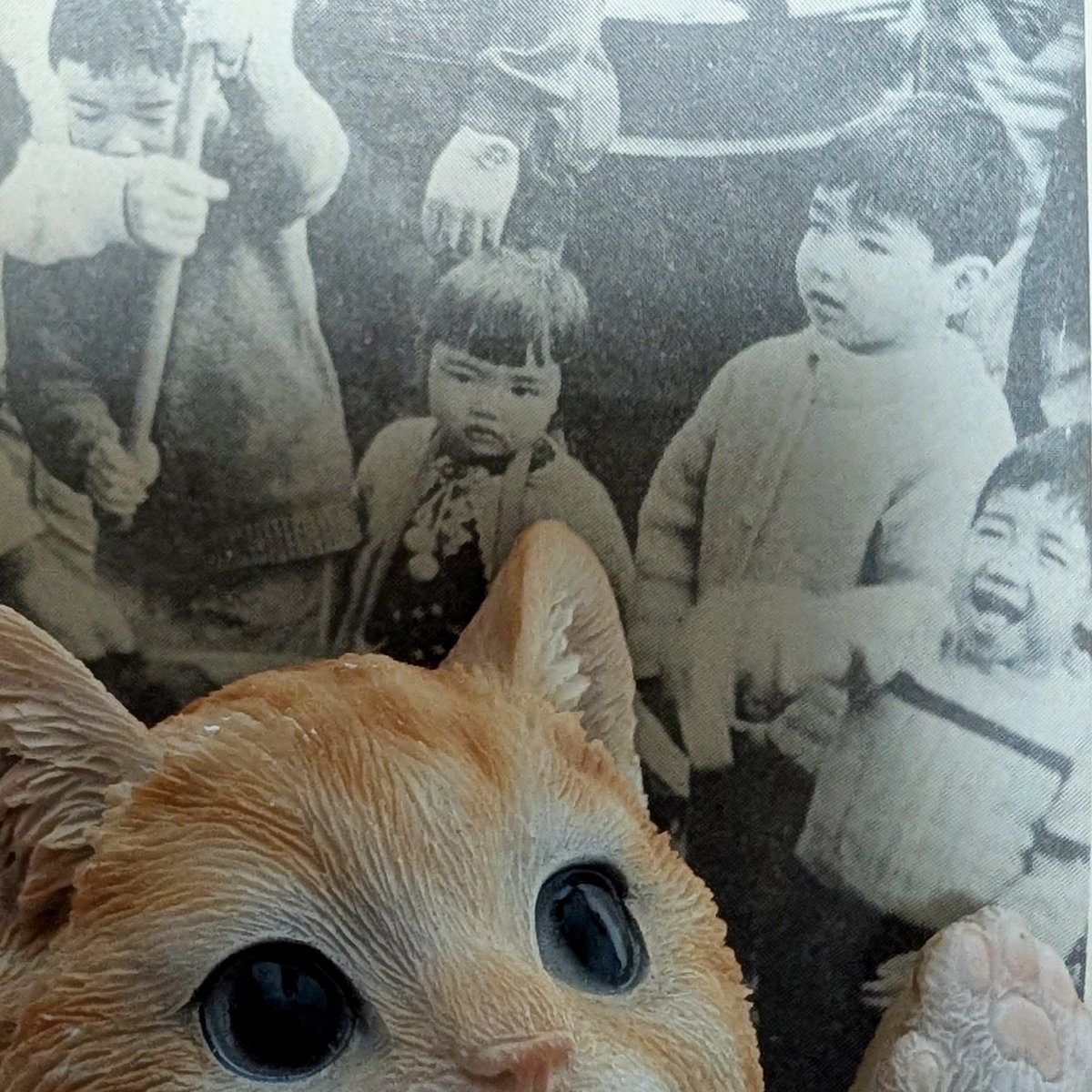rinaogawa's tweet photo. 『大阪寝屋川市 母衰弱死事件 1977年』

​両親を亡くすという不幸に見舞われた5人の子どもたちですが、祖父母の温かい庇護のもとで無事に成長し、それぞれの人生を幸せに送っていてほしい…

​今回、この事件についてのブログを書きながら心からそう願わずにはいられません😿 https://t.co/pndK0To2qD https://t.co/8TBN6di9QM
