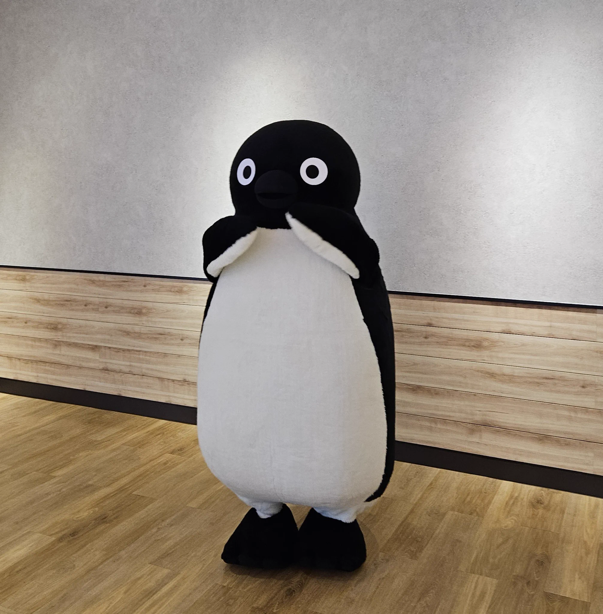 たびそら on X: 