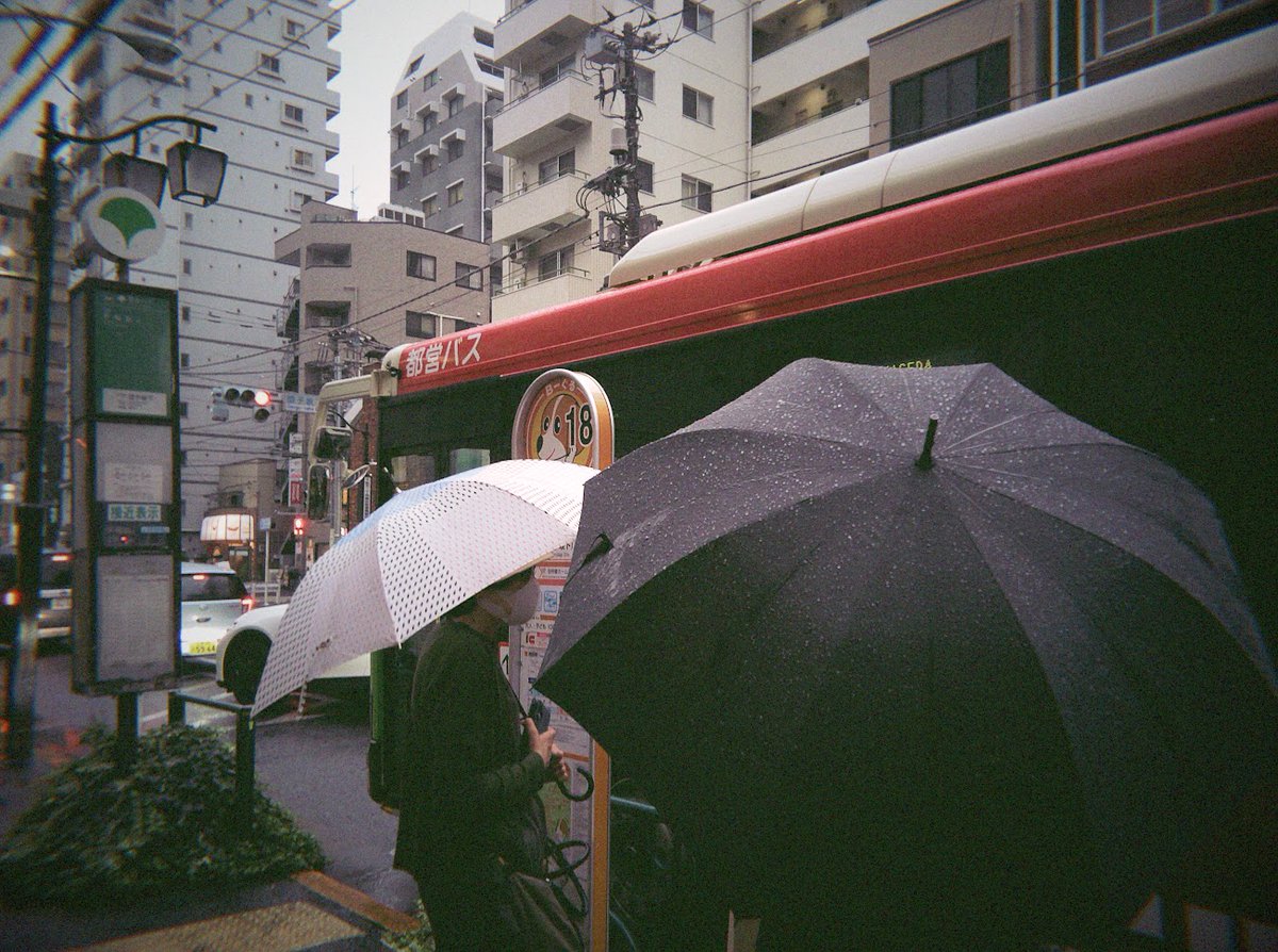 negibou_photo's tweet photo. #Flashback
20260920 https://t.co/8769aoxtqH