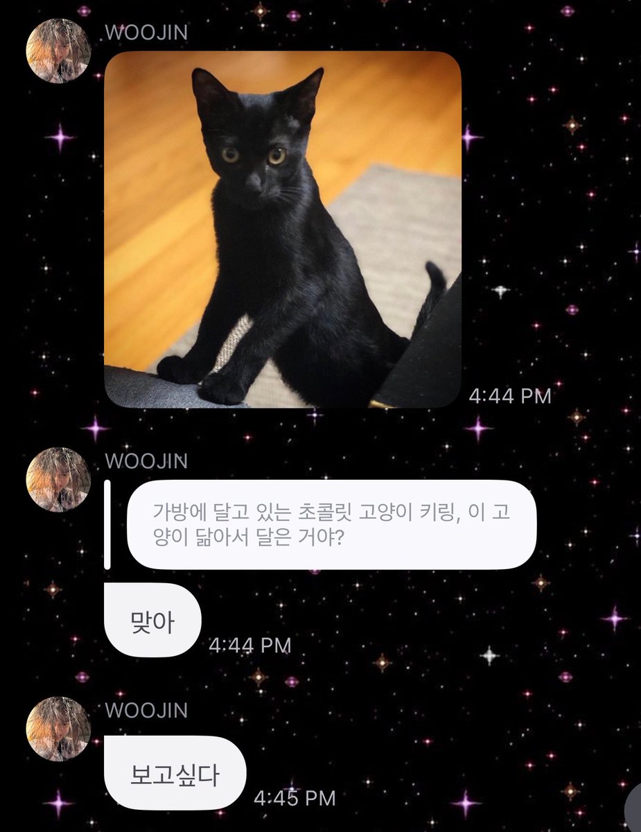 rylouette's tweet photo. Woojin cerita dia pernah punya kucing betina namanya 'pipi', yang dia temuin dijalan. Tapi pas diumur yang belum genap 2 tahun, pipi meninggal karena sakit☹️ Terus katanya keyring kucing item yang sering dia pake itu mirip pipi😭 https://t.co/cuWcf7pITD