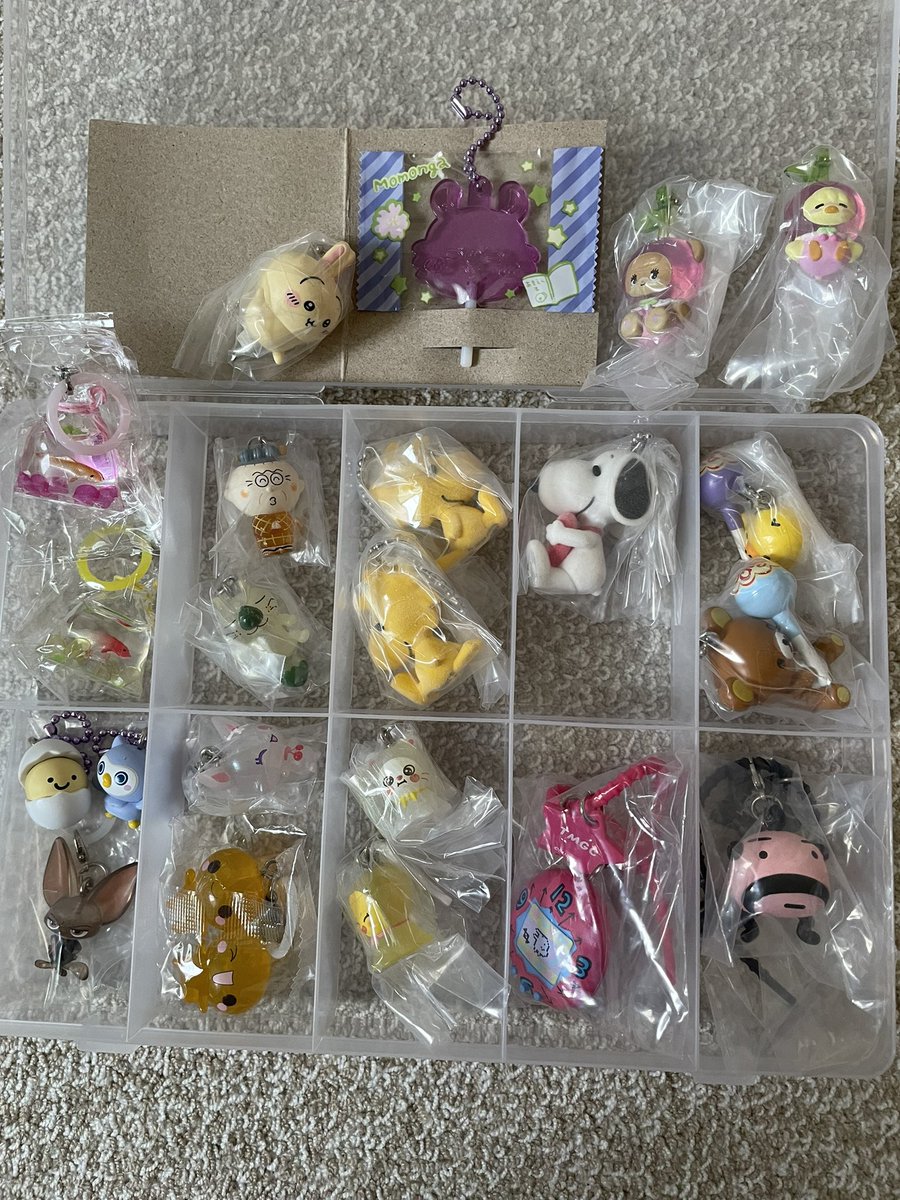 cookie08_12's tweet photo. ガチャガチャお譲り🙏🏻 ⟡.·

1枚目と2枚目同数での
お譲りです🙏🏻 ⟡.·

よろしくお願いします🙇‍♀️🙇‍♀️

おじゃる丸 ぷちきゅあ クレヨンしんちゃん サンリオ ケロロ軍曹 combi
mikko スヌーピー リラックマ たまごっち ちいかわ ぜんまいざむらい
しまじろう ディズニーハロウィン https://t.co/lgw1vS5AR4