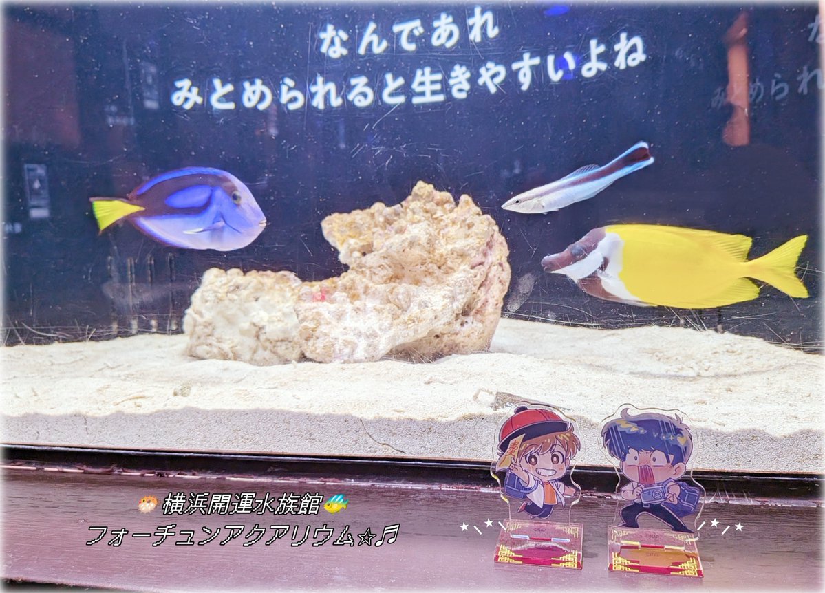 mn_e33e's tweet photo. 昨日の横浜֊  ̫ ֊)🐟 https://t.co/mVZz1N27OM