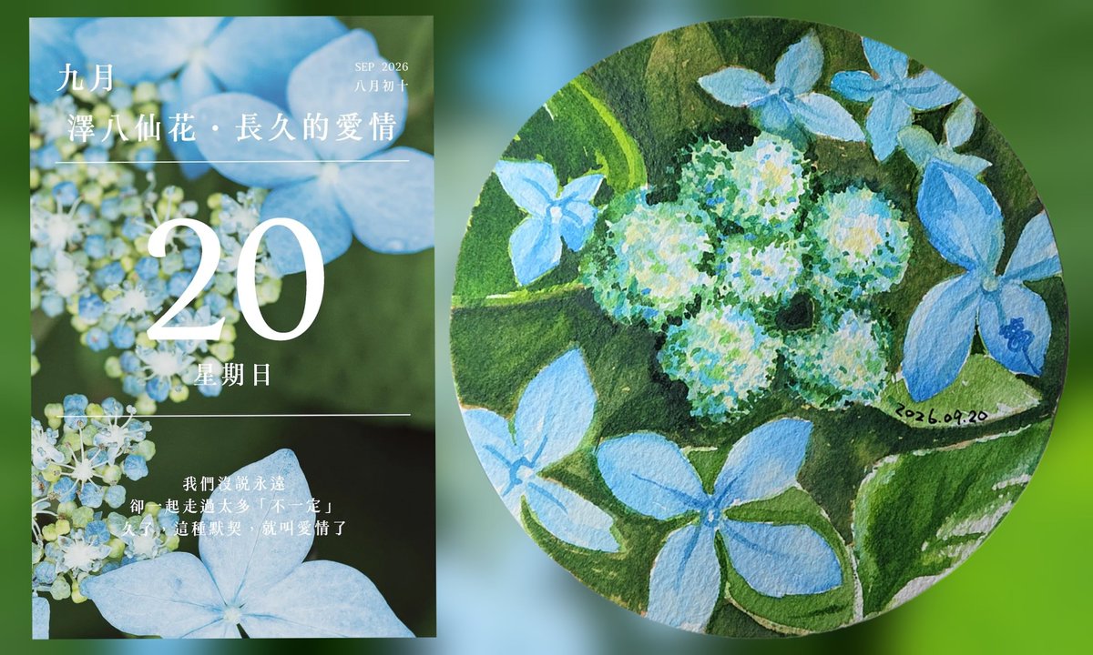 adder915a's tweet photo. 今日花語曆
2026年09月20日
【澤八仙花】（Hydrangea serrata，ヤマアジサイ／山繡球）是繡球花科繡球屬的落葉小灌木，原產於日本及韓國的山谷與溪邊潮濕地帶。
💐花語是希望、永恆與團聚。
#2026年花語日曆 #花語日曆 #每天畫一朵花 
https://t.co/ycg8cCbYCK https://t.co/DBd5qemmsY