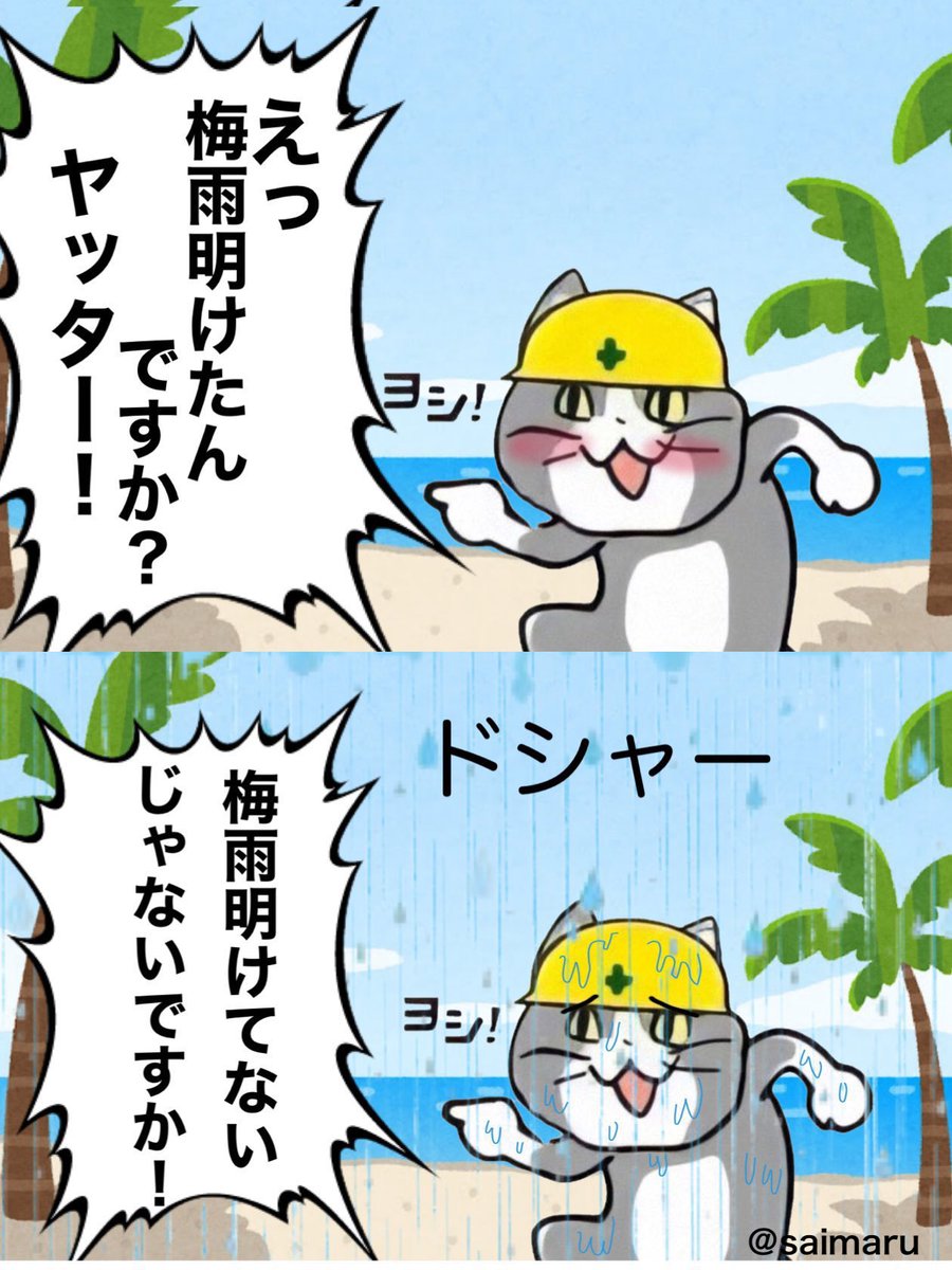 himawari2727274's tweet photo. 【再掲】

まだ梅雨みたいな感じでコレ

#現場猫 https://t.co/3DjkBcrADh