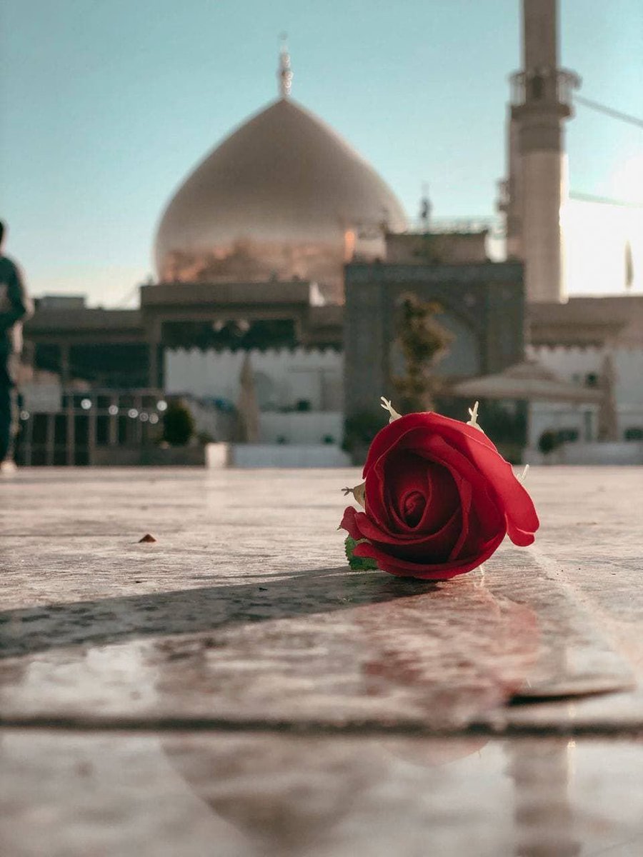torobgh's tweet photo. در دوران غیبت صغری، مدیریتِ فاصله میان «نیاز امت» و «حفاظت از شیعه» هنرِ امام عسکری (ع) بود. ایشان آموزه‌هایی را نهادینه کردند که پیوند میان رهبر و پیروان را در سخت‌ترین شرایط حفظ کرد.
#برای_پدر_به_عشق_پسر https://t.co/tNQTvuWBLQ