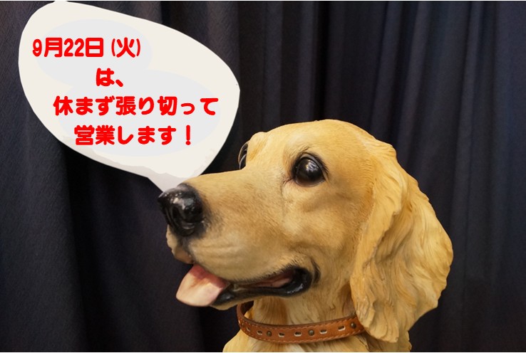 raspini20061's tweet photo. ☆営業日のお知らせ☆
シルバーウイークは休まず営業しております。
9月22日も、火曜日ですが営業します！
皆様のお越しを心からお待ちしております。
ラスピーニ　　　

＃ラスピーニ　＃ラスピーニ堺市　＃ラスピーニ深井
＃メンズファッション　＃メンズ服 https://t.co/9zLr52Czwi