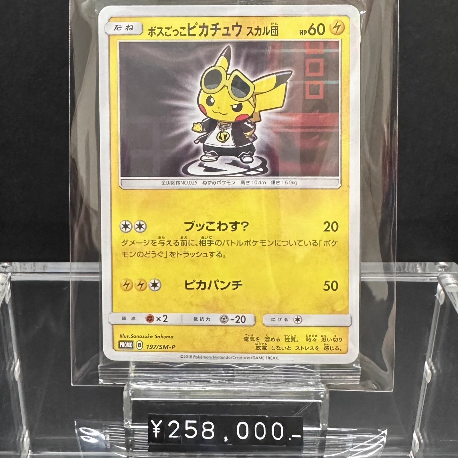 トレカキャンプ大須店【ポケカ専門店】 on X: 