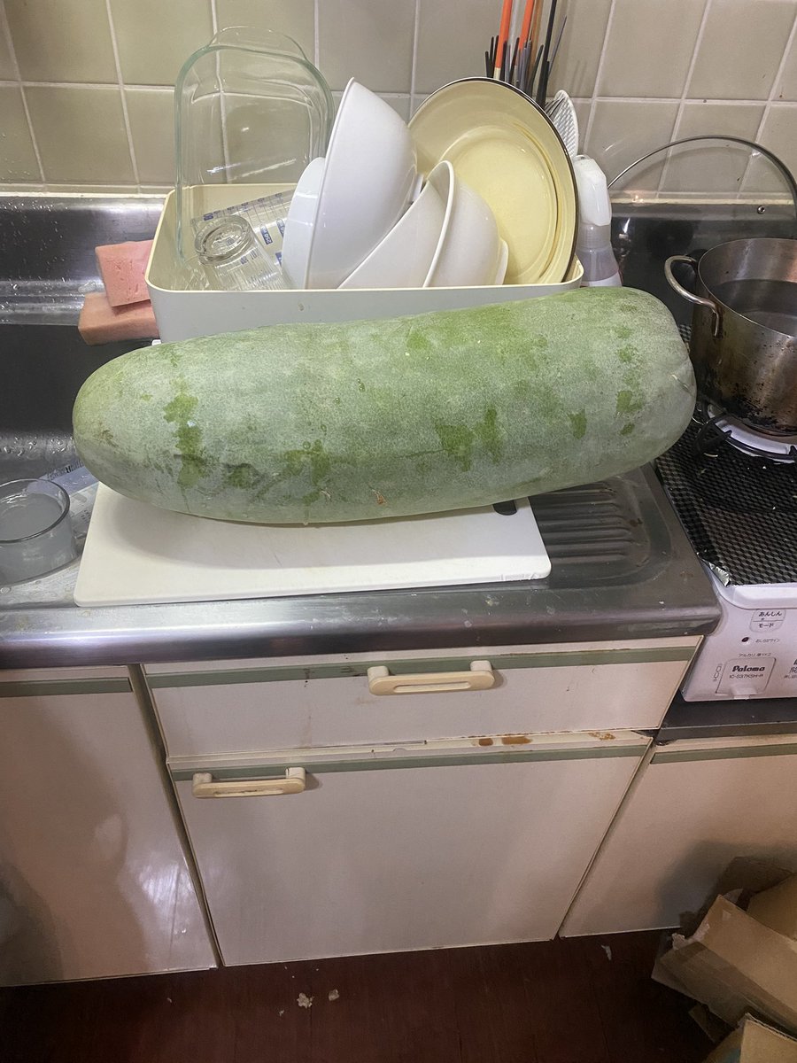 soratonamae's tweet photo. 長谷川さんこんにちは。
冬瓜5.3キロを下茹で冷凍、冷蔵したものが家にあり、こちらの水餃子を作りたいと思っているのですが、このレシピが長谷川さんの著書に収録されているようでしたらぜひ購入したいと考えているので、どの本かぜひ教えていただけませんでしょうか。 https://t.co/OC4F5Yz2Eu