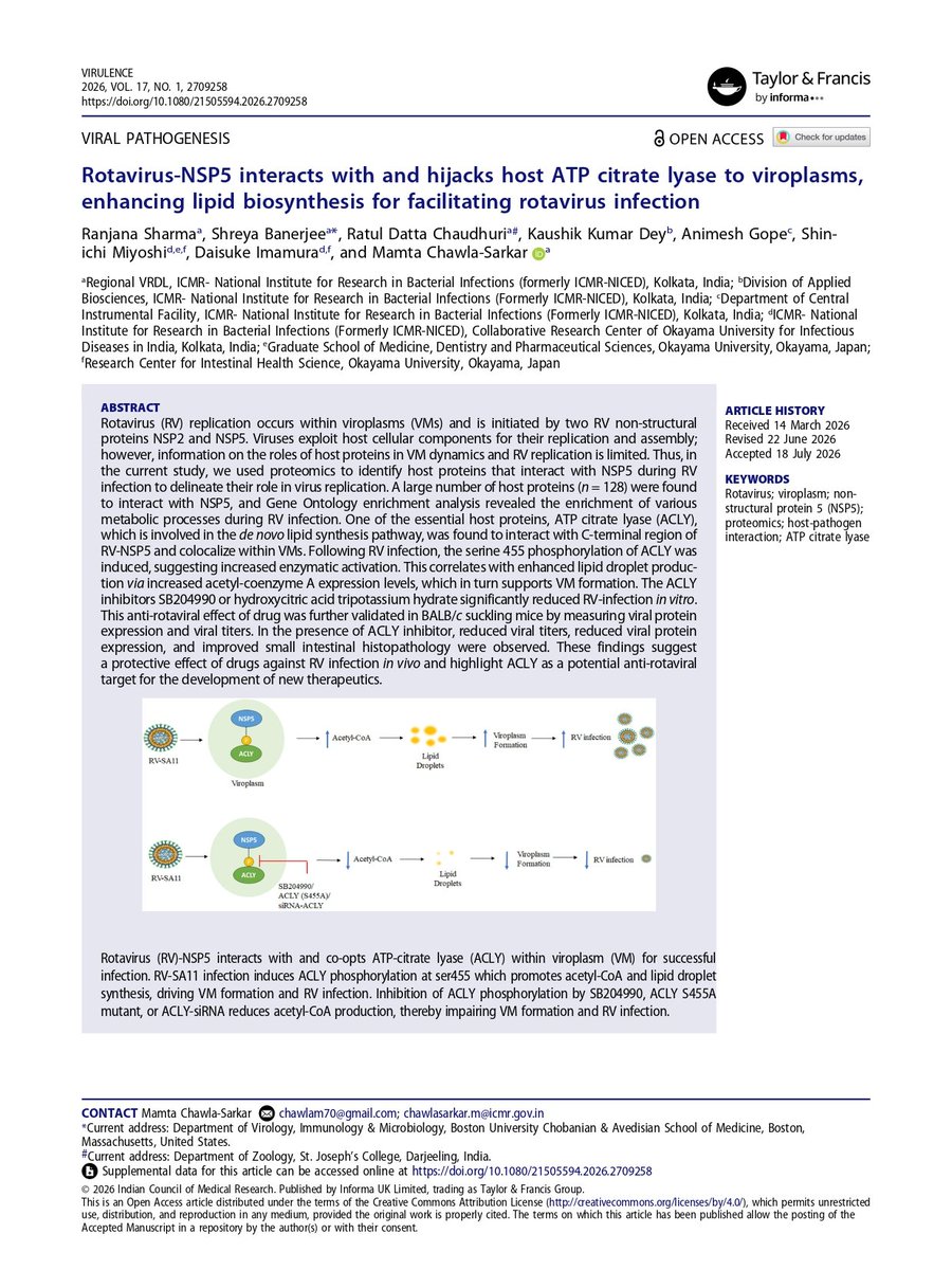 ICMRNIRBI's tweet photo. A new study reveals how rotavirus NSP5 hijacks host ACLY to promote viroplasm formation and viral infection, identifying ACLY as a potential target for future anti-rotaviral therapies.
Viral Pathogenesis | DOI: 10.1080/21505594.2026.2709258
#ICMRNIRBI #ICMR4NEWINDIA #Rotavirus https://t.co/3SUctjkpYD