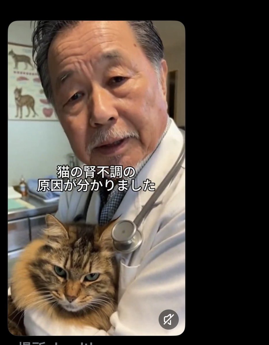 ProstateDevelop's tweet photo. 可愛い
両方 https://t.co/yYirUQKuPv