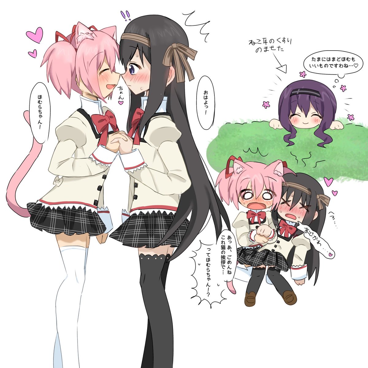 Ninchan_221's tweet photo. 猫耳まどとほむ https://t.co/EKc0WrRLBb
