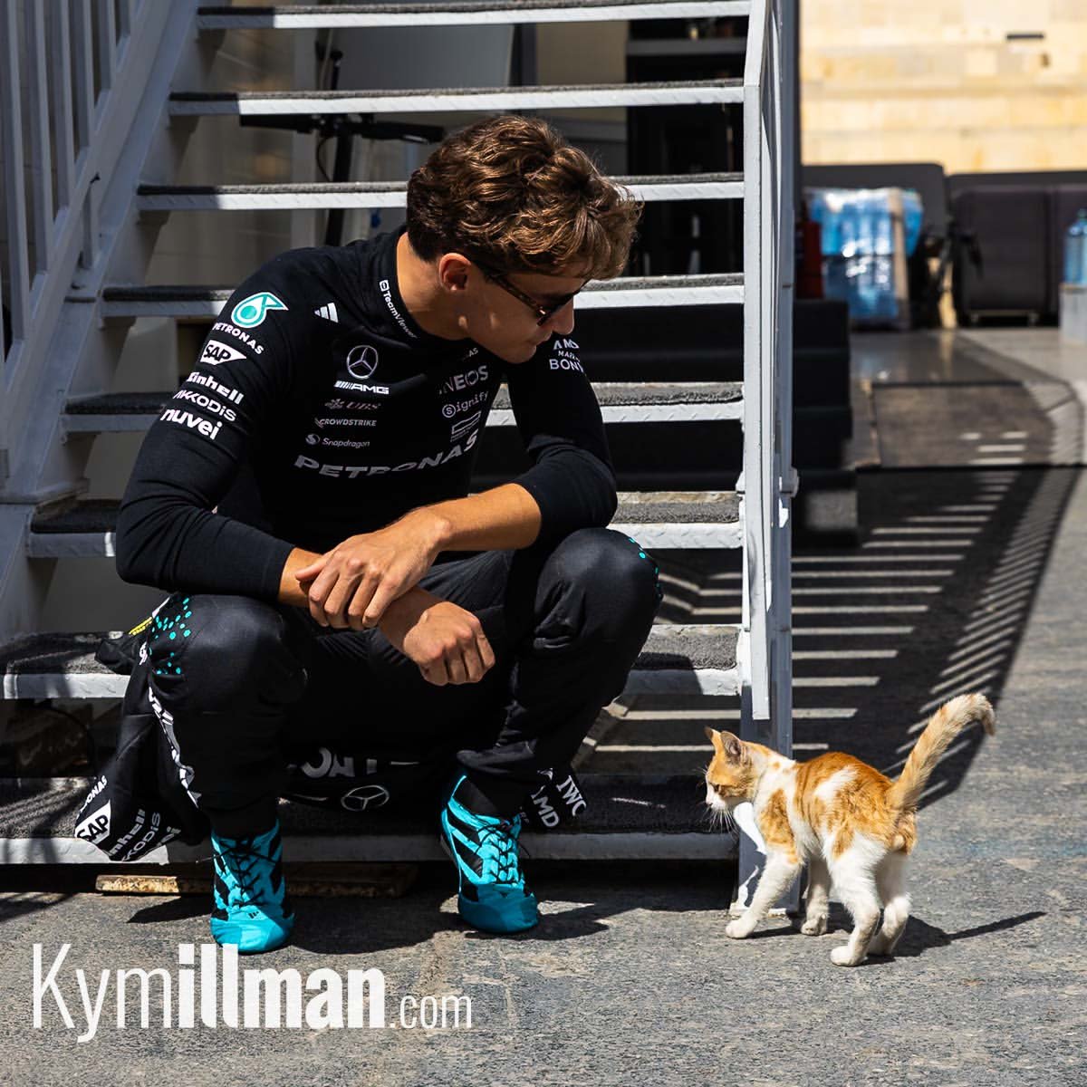 lassuriz's tweet photo. george russell and 🐈 https://t.co/JtFIEzbDeX