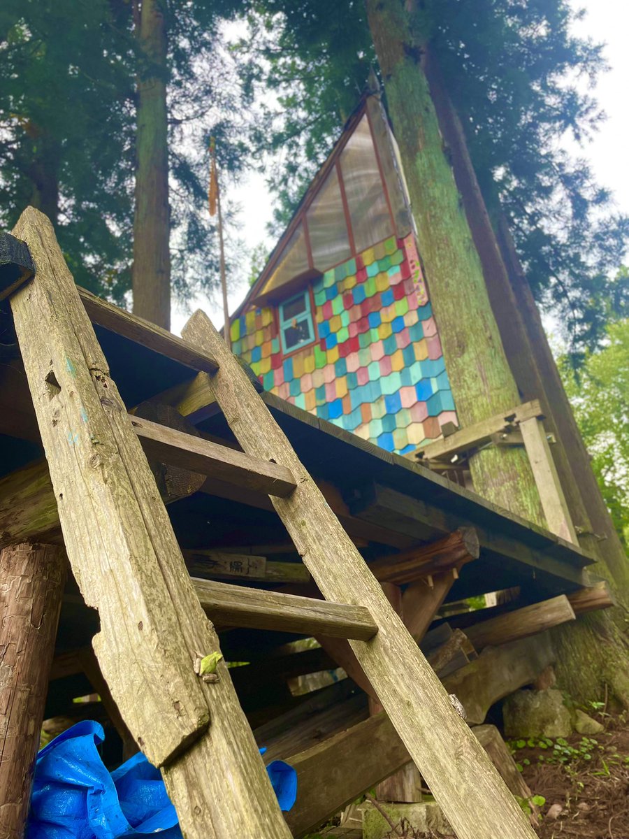 norikazu_0130's tweet photo. 長井市の「もりもりの森」🌳

親子で森林に親しめる場所。

子育て中の同世代の想いからスタートし、里山の価値はもう一度見直されていいはずと思えるところ。

長井市には、ピオニーの森、縄文の丘もあり、森林に親しめる場所をもっと価値に変えていきたいと思います。

皆さま台風にご注意ください！ https://t.co/X4PzlGlkqE