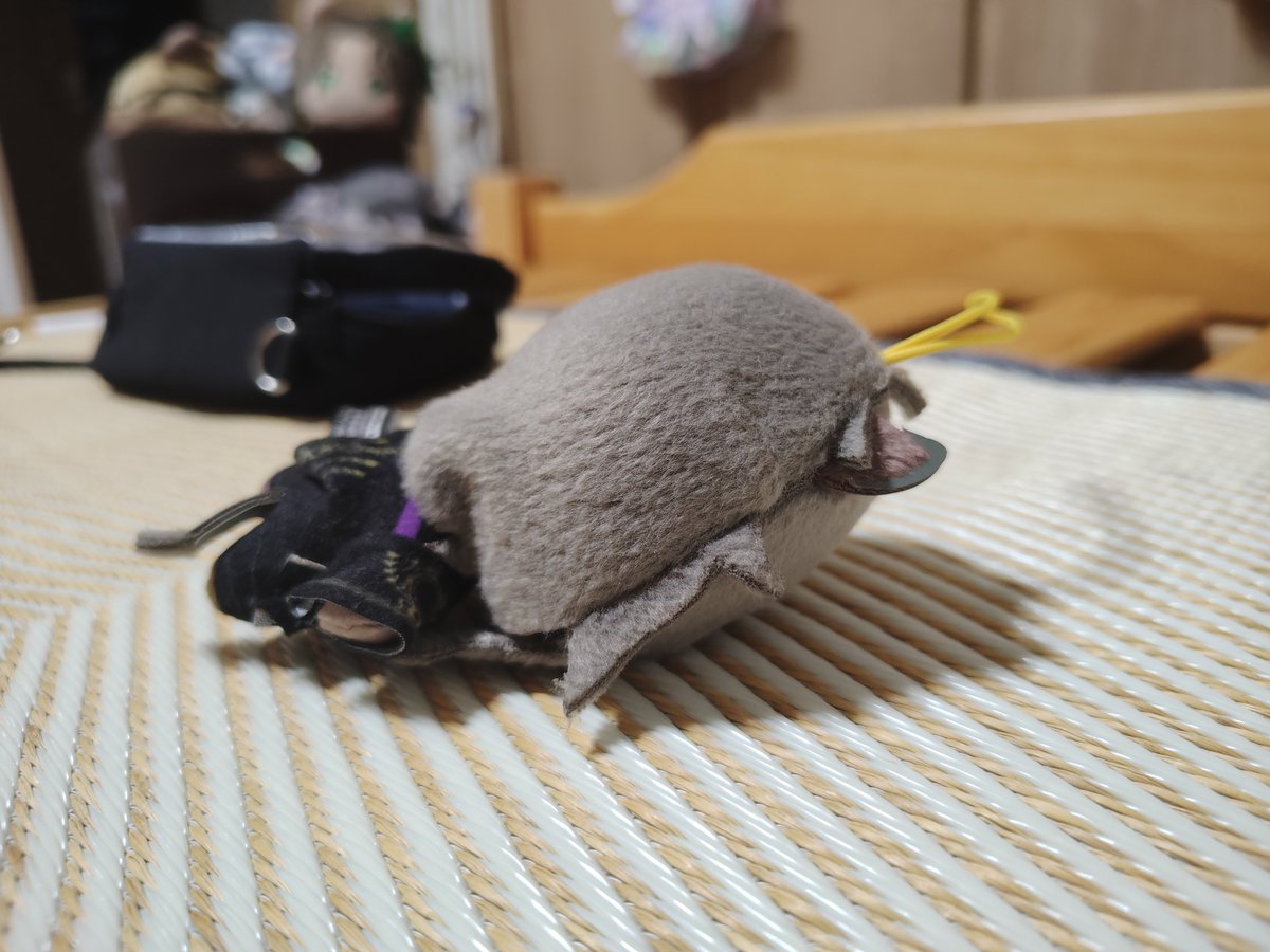 ryo_vg_sp's tweet photo. 今の私を表したかのようなレオナ様 https://t.co/B5EntWp92i