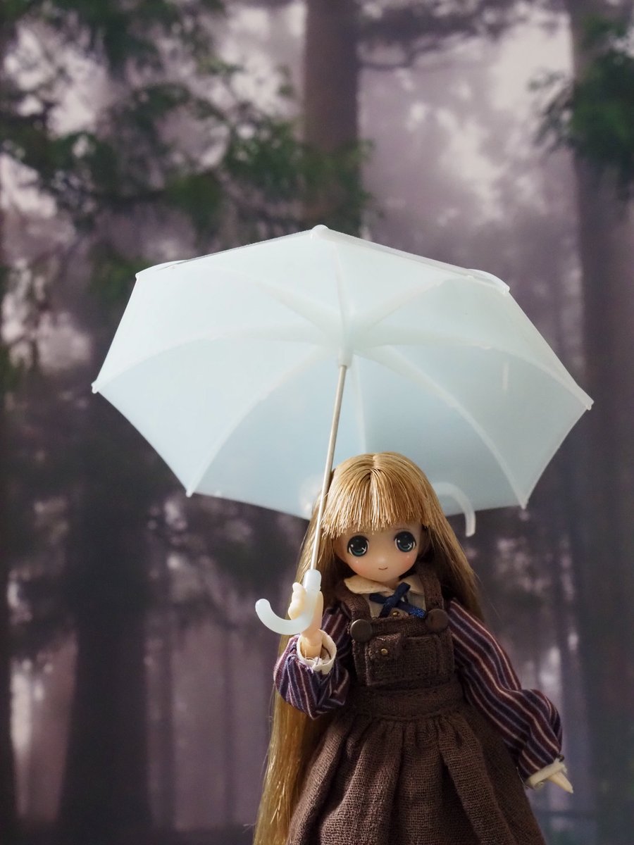 kaki8years's tweet photo. さて連休だぜヒャッハー、という写真を撮る気もなくなるくらい関東はずーっと雨模様。お人形撮影は窓際の自然光頼りなので、暗い雨の日は向かなかったり。 https://t.co/xdO2sQ6ulS