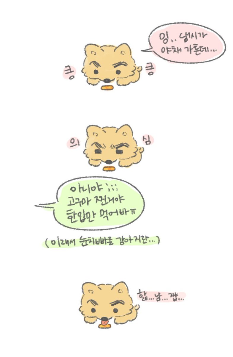 ekacetalocohc's tweet photo. 강아쭈와 땅돌이 https://t.co/sppM2EIWSZ