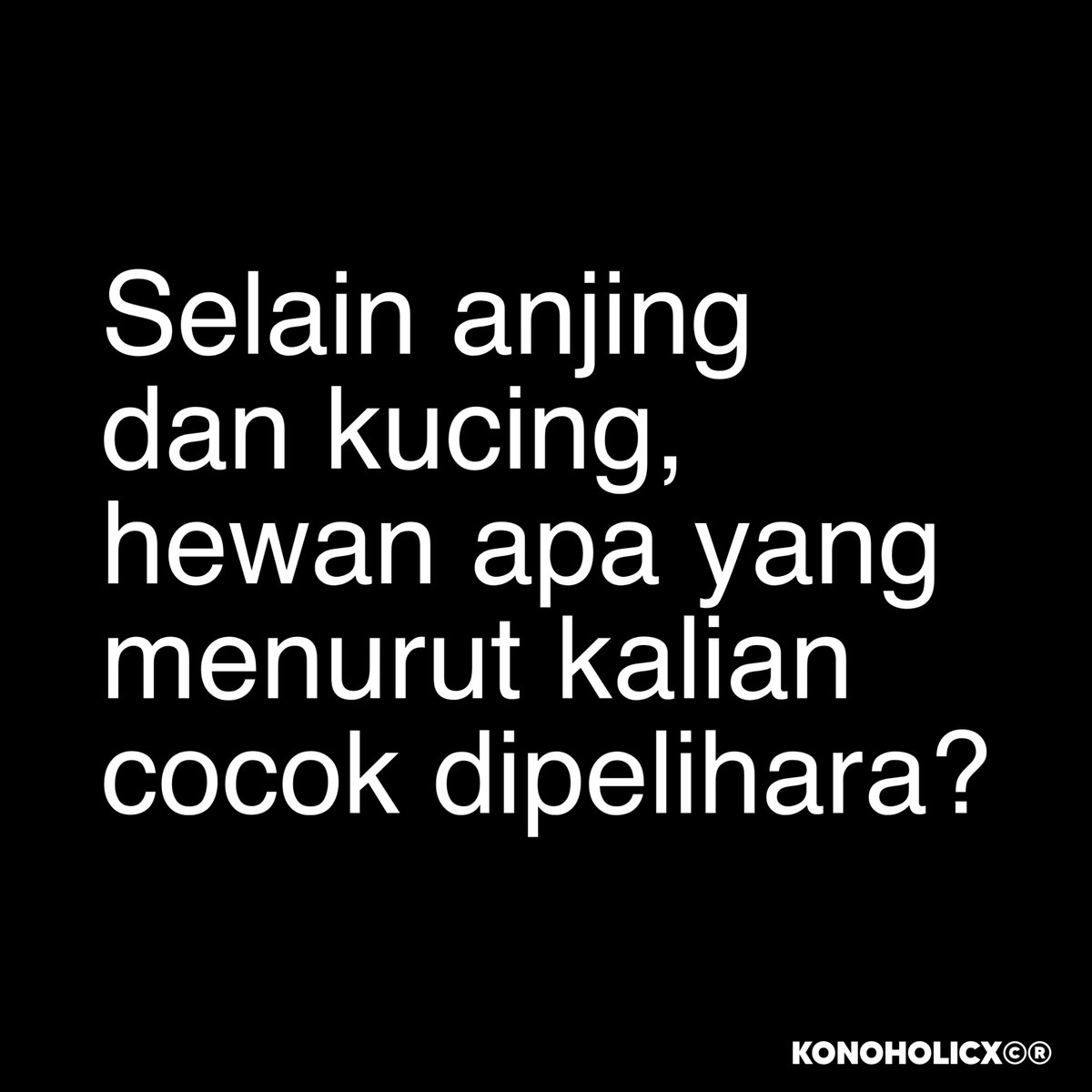 konoholicx's tweet photo. hewan yg cocok dipelihara... https://t.co/CB8mhaDWBo
