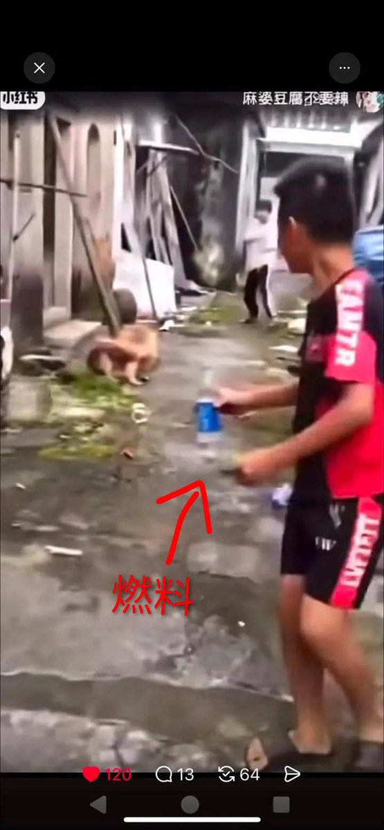 romeo1022maiki's tweet photo. 出すなと言われてるのに、
誰が出した🤔

#JusticeForWangWang #AnimalAbuse #AnimalRights https://t.co/JA4IAYxiZO
