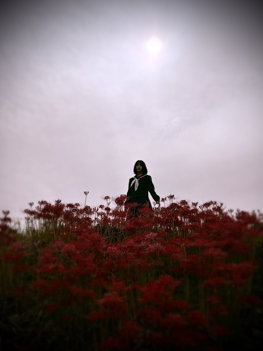HonokaCocolulu's tweet photo. 強そうwww https://t.co/e71i4J8o0S
