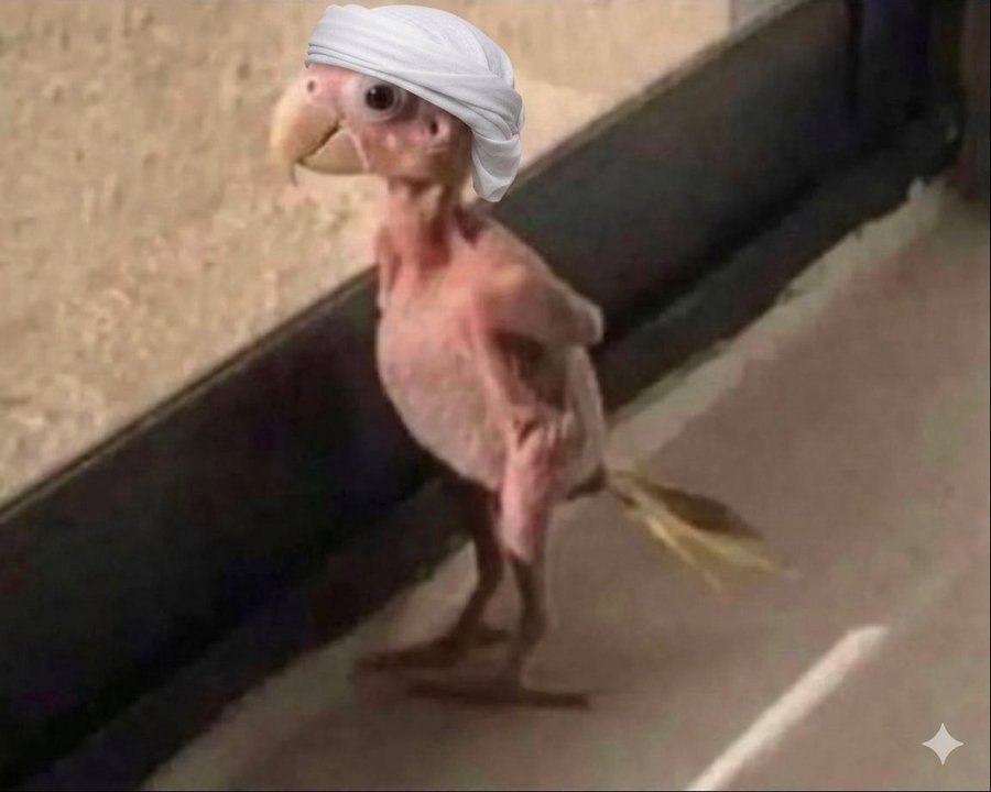 X9xSamy's tweet photo. @mubarakmnsoury2 ياطمطة ماينتف ريشك ريح 🤣 https://t.co/NVwiJo3vuu