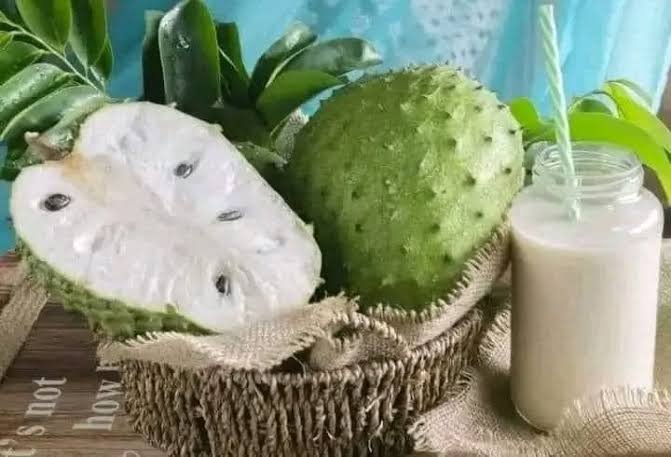 Sainte_Hermine5's tweet photo. Le corossol n’est pas seulement un fruit délicieux, c'est une véritable pharmacie naturelle pour notre organisme.

Prêts à découvrir le secret de notre bien-être dominical, les champions et les druides ?

Voici comment préparer et consommer le smoothie ultime au corossol.🧵 https://t.co/SsRxIrklOp