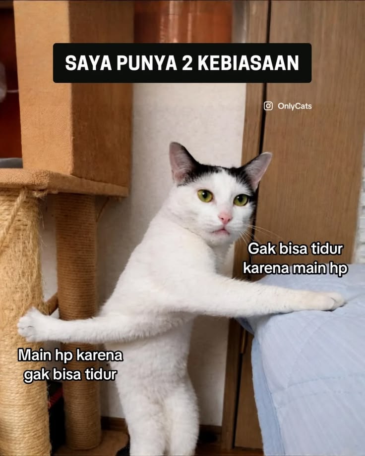 kingal_12's tweet photo. WKWKWKW https://t.co/OddYaEgYE3