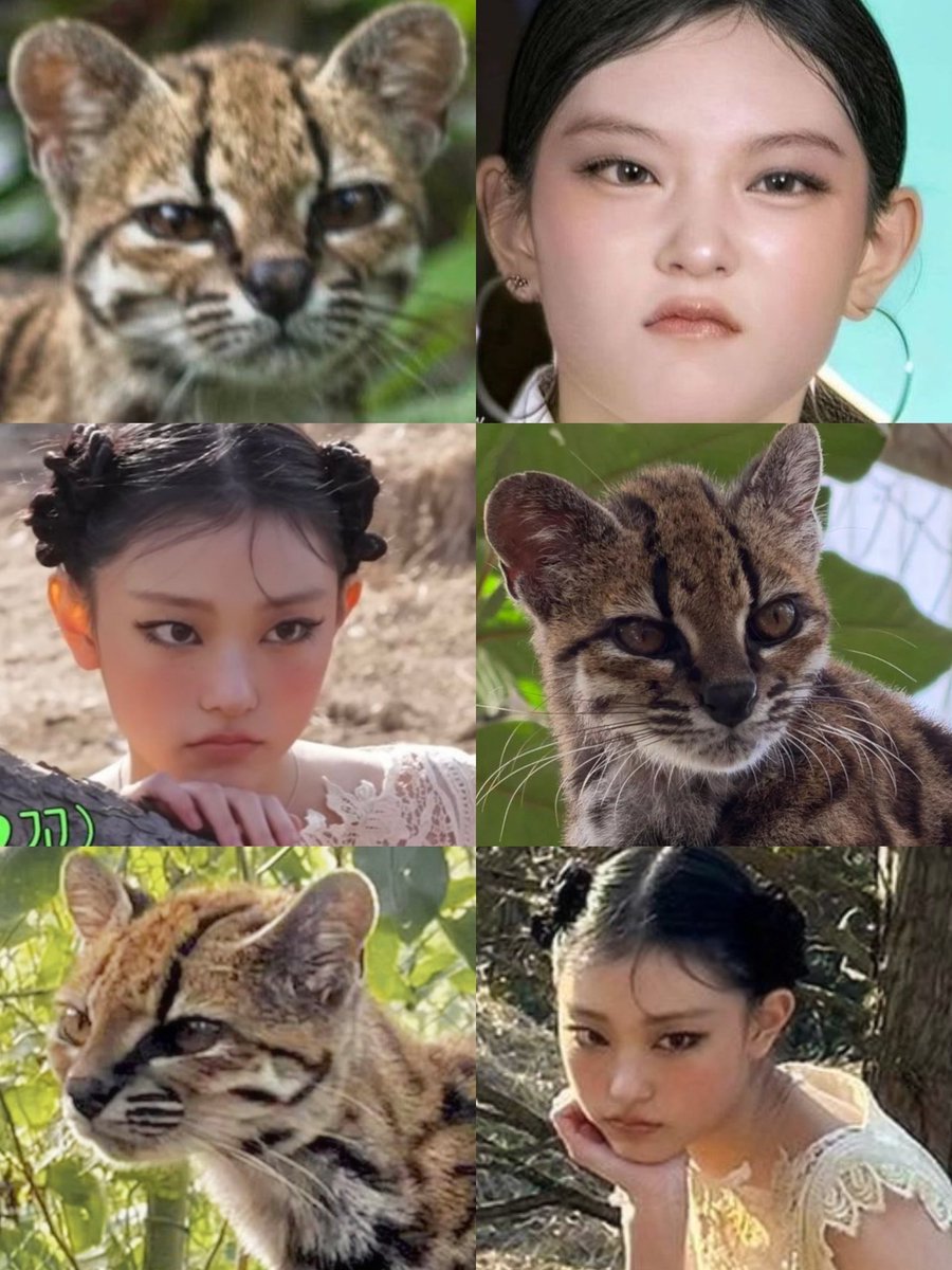 redbnz_mochi's tweet photo. A new wild cat has been discovered 🐱

Haerin: 
Look, it's a new me
Switched it up, who's this? 🐱💚 https://t.co/UrX4eegTbj