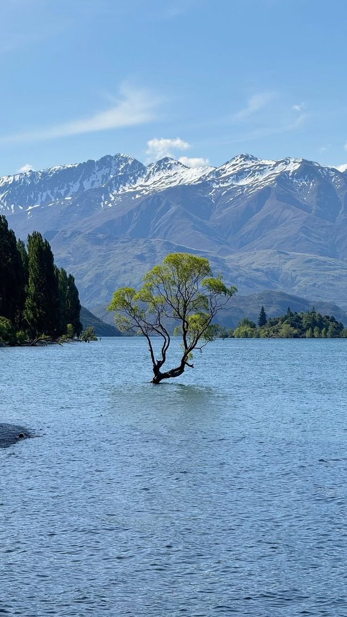 reminiscinbby's tweet photo. Lake Wanaka, New Zealand https://t.co/bJbHIHhNmf