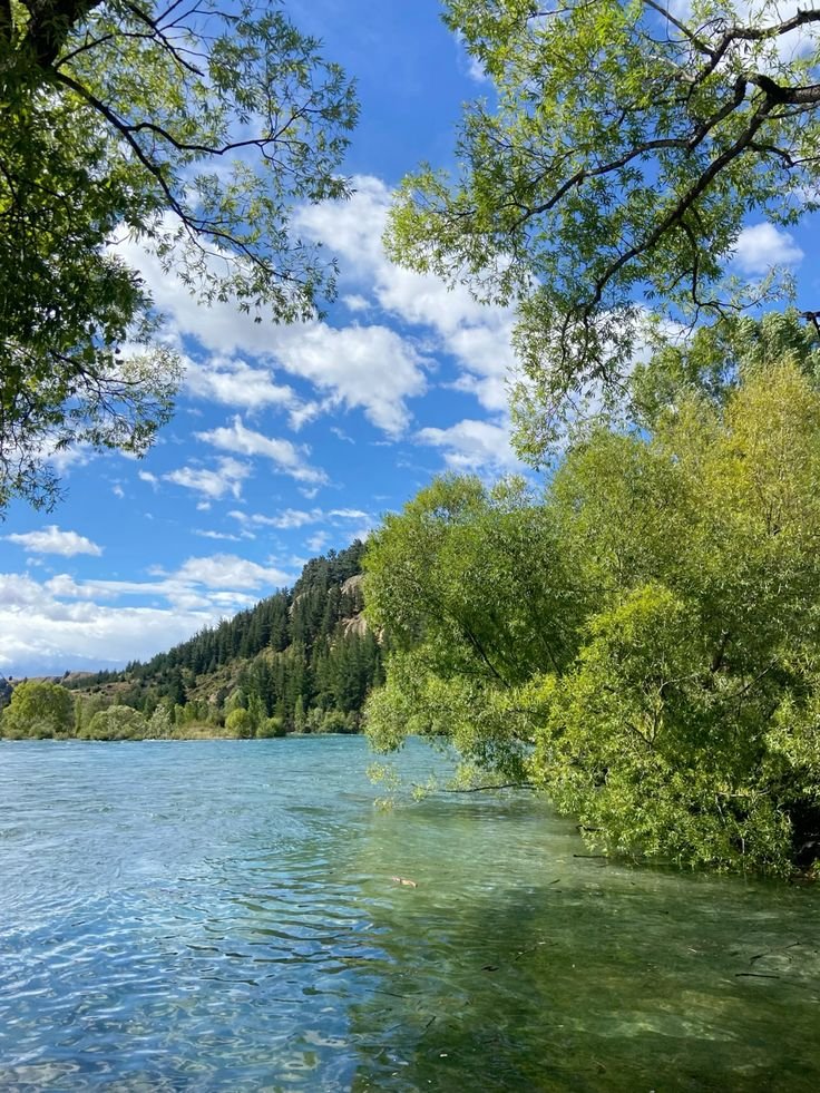 reminiscinbby's tweet photo. Lake Wanaka, New Zealand https://t.co/bJbHIHhNmf