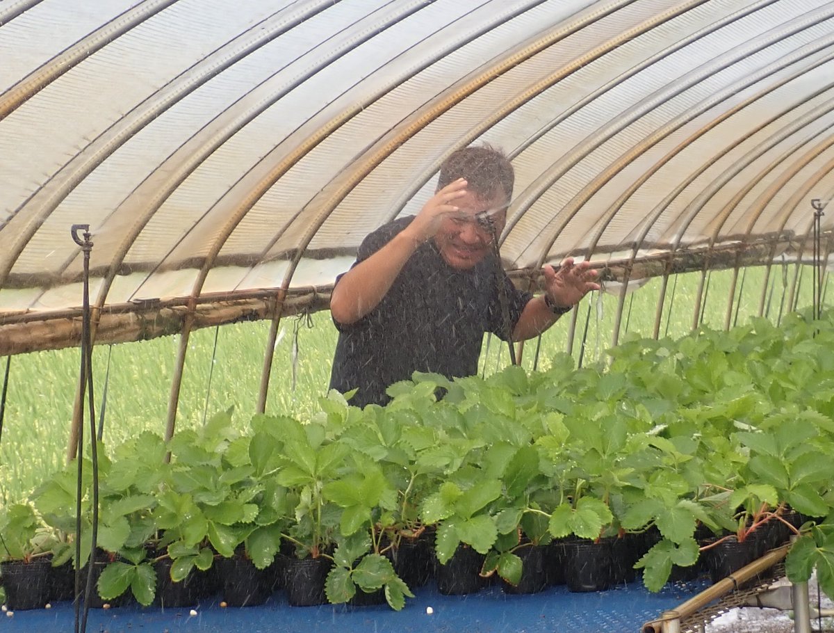 MAFF_KYUSHU's tweet photo. 【「まにあった。」水が再び流れた日】
もうすぐ、いちごの定植シーズン。
被災した氷川町の農業用水路の応急復旧が完了し、いちご栽培を支える水が再び流れ始めました。通水式が開催され、MAFF-SATも参加。
復旧に尽力された皆様に感謝。
#令和8年熊本地震　#災害支援　#九州農政局 https://t.co/eDLd5zndRD