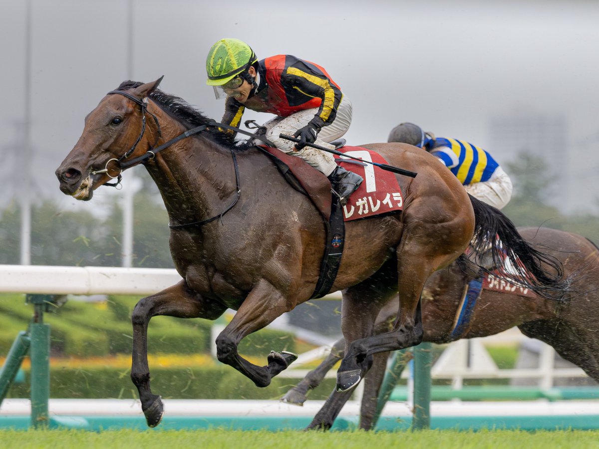 piyomo1507's tweet photo. 2026/09/20
中山 11R オールカマー
レガレイラ
戸崎圭太 騎手
重馬場の中よく頑張ってくれました。次は良馬場になりますように🤲 https://t.co/UXmES52grC