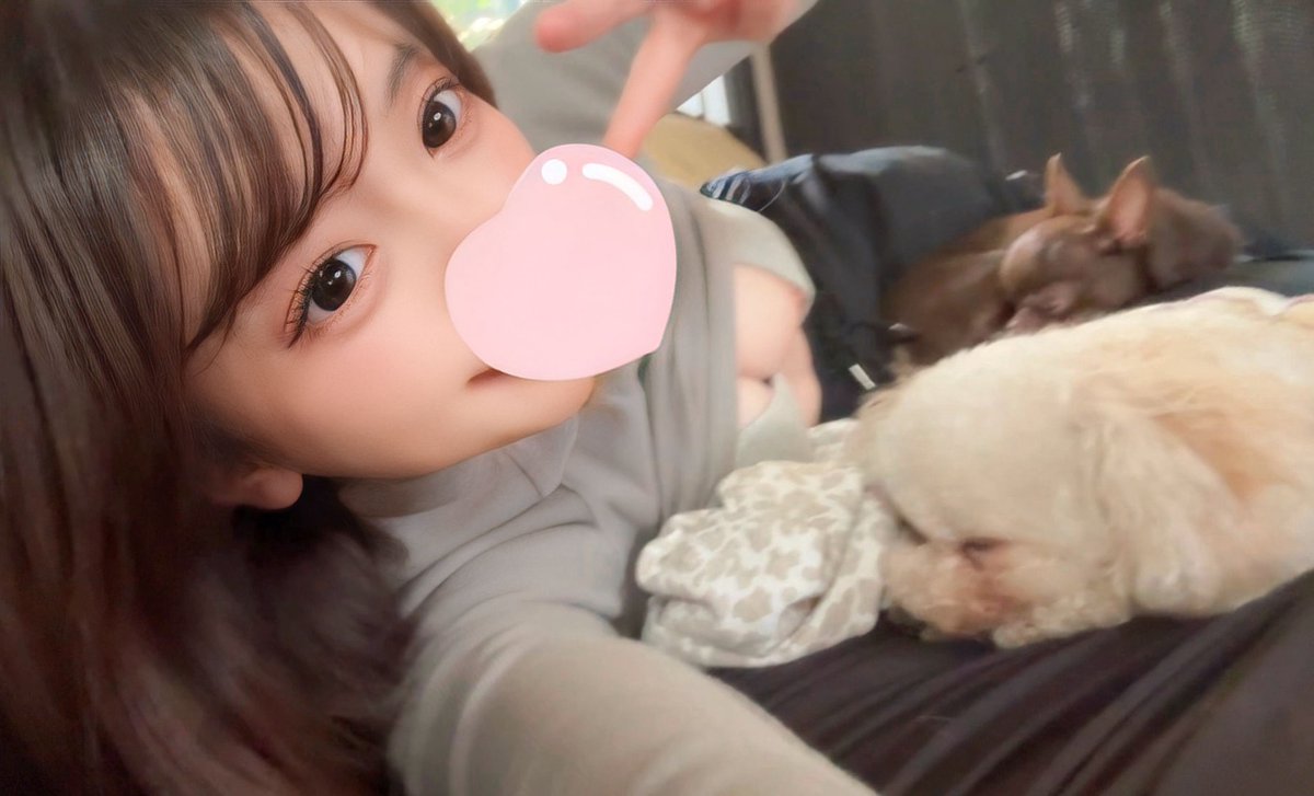 HemalathaMs's tweet photo. すぐ消します、いいねした人限定で。 https://t.co/2L5DCjPA5A