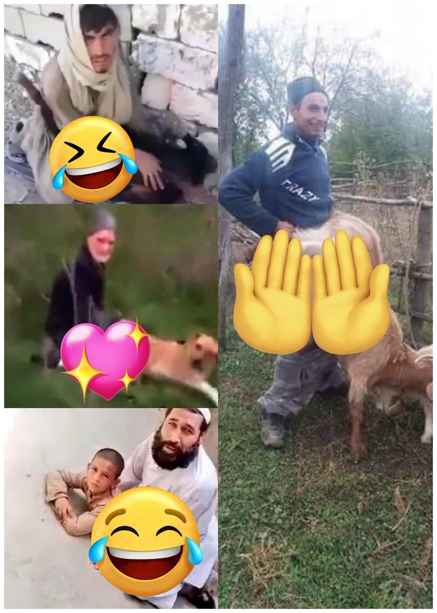 Maverick61060's tweet photo. @Swatianknight Meanwhile this is what satnic religion look like 👇😹🤗. Leave that scheziophrenic pedophile desert cult pisslam as soon as possible 😹 https://t.co/zpPeyuuRel