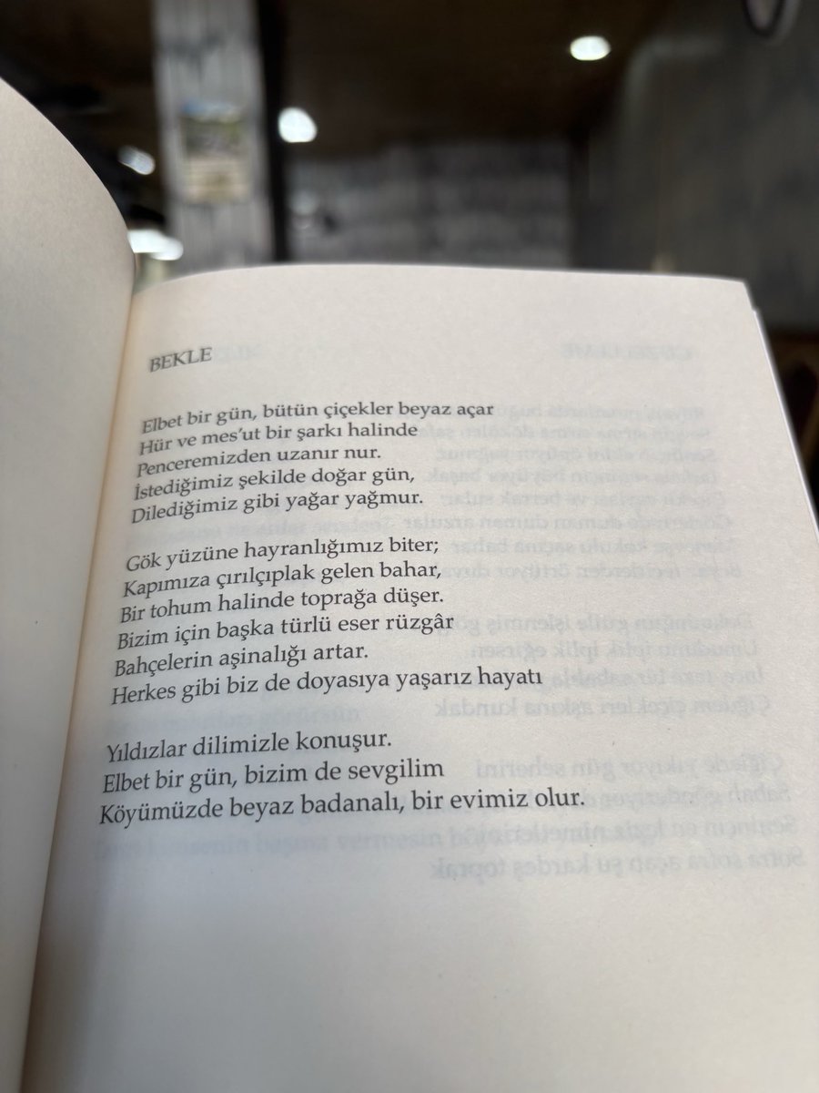 msinan884's tweet photo. Elbet bir gün,bütün çiçekler beyaz açar
Hür ve mes’ut bir şarkı halinde.
#YaşarKemal
🤍🍀 https://t.co/z4LJLtP1YX