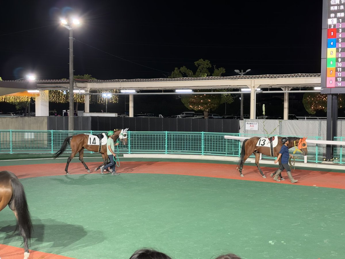 deji2121's tweet photo. 今のパドックの広さは14頭でも余裕やね。
#佐賀競馬 https://t.co/nVMzEkEHjS