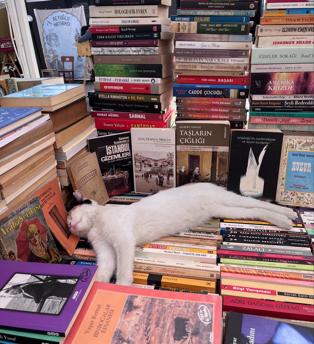 ucanlamba's tweet photo. pazar rotası: beyoğlu sahaf festivali https://t.co/WK7Cih3grg