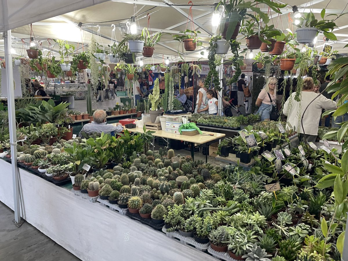 veget3000's tweet photo. #giapponeinfiera #arezzo #friends #amici #amica https://t.co/QM40JBysiQ