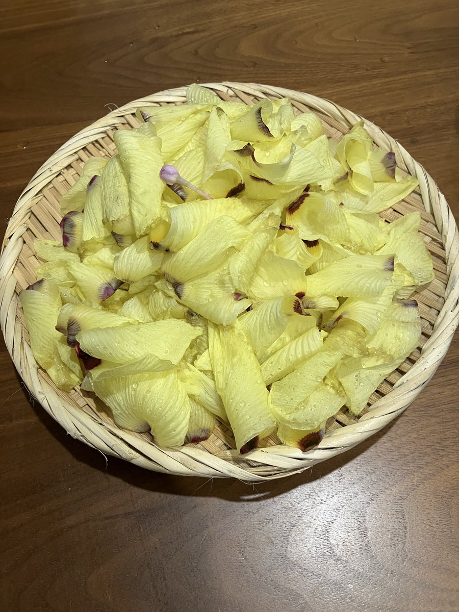 taakin_1217's tweet photo. 花オクラをいただいたので
サラダにしましたー♪
可愛いくて華やかで美味ぴー！
ありがとうございます。 https://t.co/0gZ6EhMFVp