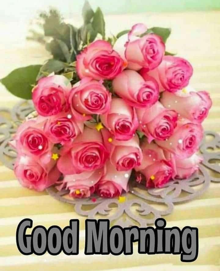 sujayalva's tweet photo. @mariamalami11 https://t.co/eIbedDcYoL