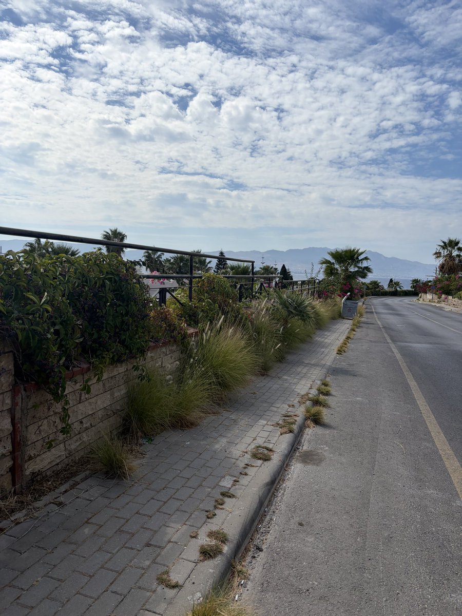 gezginozy's tweet photo. Sevgili @BodrumBel Akçabük tatil köyünden Fener’e yürümek zor… Kaldırım olmayan alanlar var, sitelerden fırlatan dallar var… Eldiven-makas-kazmam olsa seve seve… https://t.co/KaJK5Jq0B5