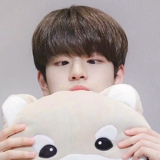 strayp0rn's tweet photo. Welcome to strayp0rn ! 🔞

Tess | 25 .✦ ݁˖
Skz nsfw .✦ ݁˖
Ot8 centered .✦ ݁˖
Don't report , js block ! .✦ ݁˖
ENJOY! .✦ ݁˖

#skznsfw #skzporn #kpopnsfw https://t.co/PYlyHfFWzW